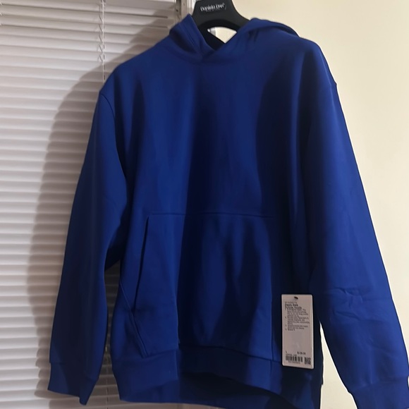 Champion Blue Hoodie - Picture 1 of 4